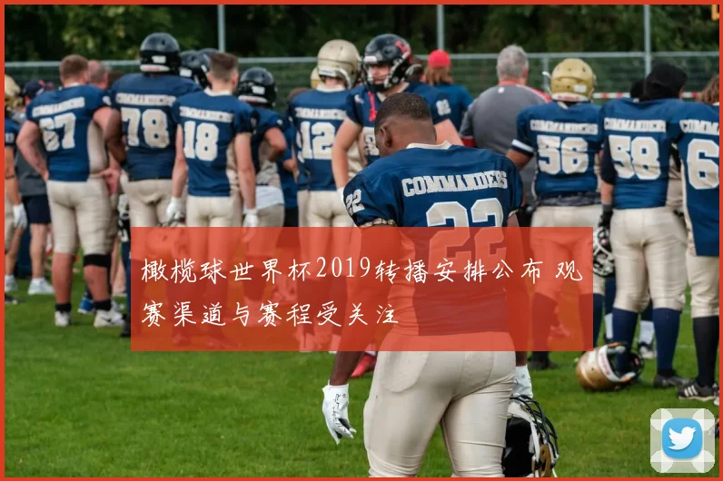 橄榄球世界杯2019转播安排公布 观赛渠道与赛程受关注
