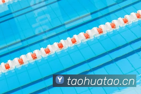 2021世界杯官网平台生态图